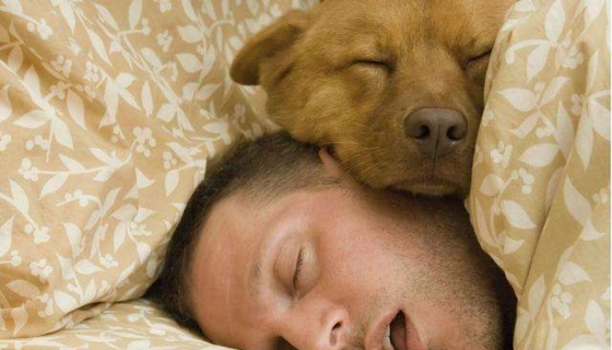 睡眠环境可能也需要监测，你知道吗？